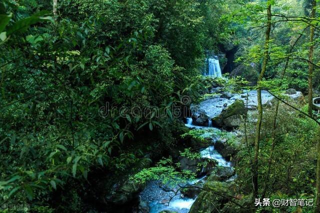 旅游板块龙头股有哪些,旅游股票有哪些龙头股（中国A股：旅游业迎黄金发展期）