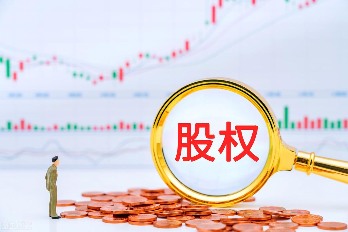 其他有限责任公司属于什么类型(有限责任公司企业类型)