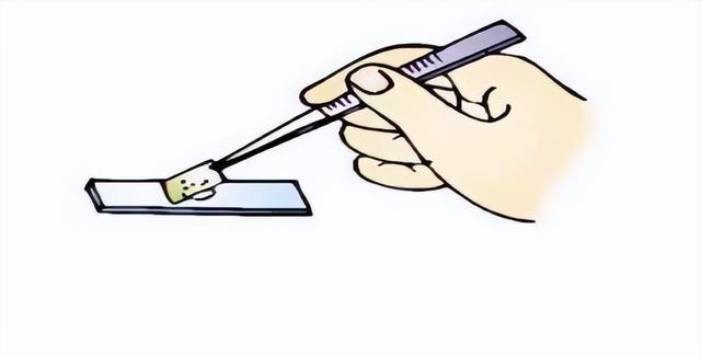 光学显微镜是什么东西，光学显微镜是什么东西图片（通过有趣的实验一起来学习吧）