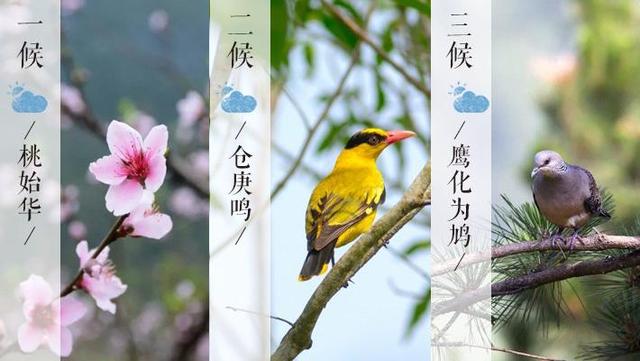 怎么正确的按摩养生，怎么正确的按摩养生视频（教您5招中医养生保健的推拿按摩方法）