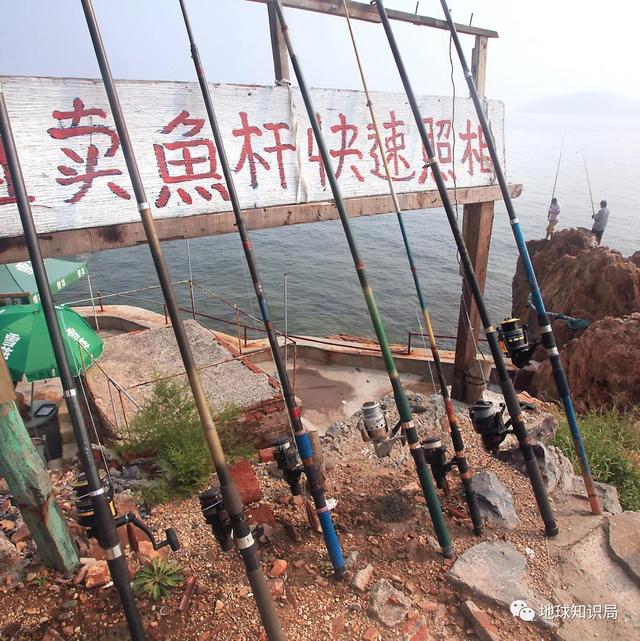 沧海桑田的沧海是哪个海，“沧海桑田”（渤海，越来越小了，地球知识局）