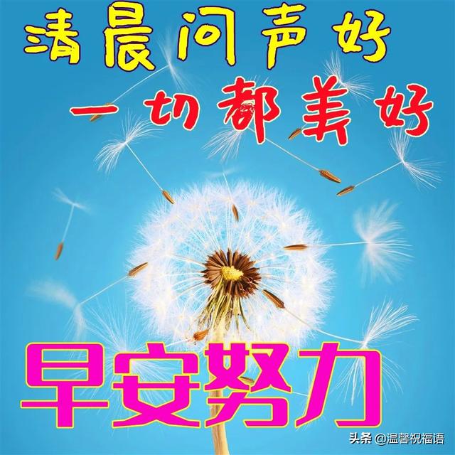 6字唯美短句，爱情的句子唯美短句（夏日天热防暑温馨早上好日常祝福语精选）