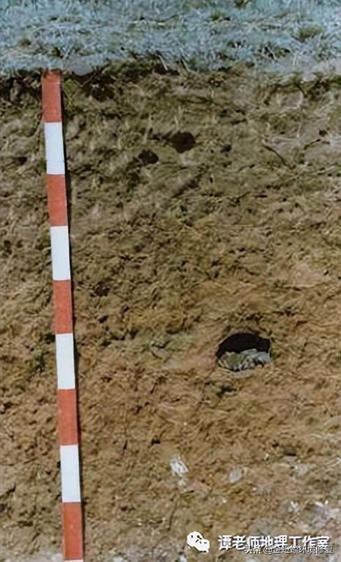 土地性质分类和用途，怎么查个人土地信息（附中国土壤的分类及分布）