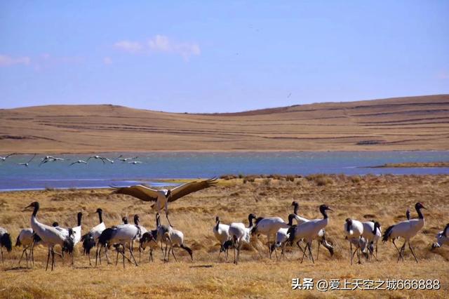 九月份的昭通大山包景观，云南的可可西里