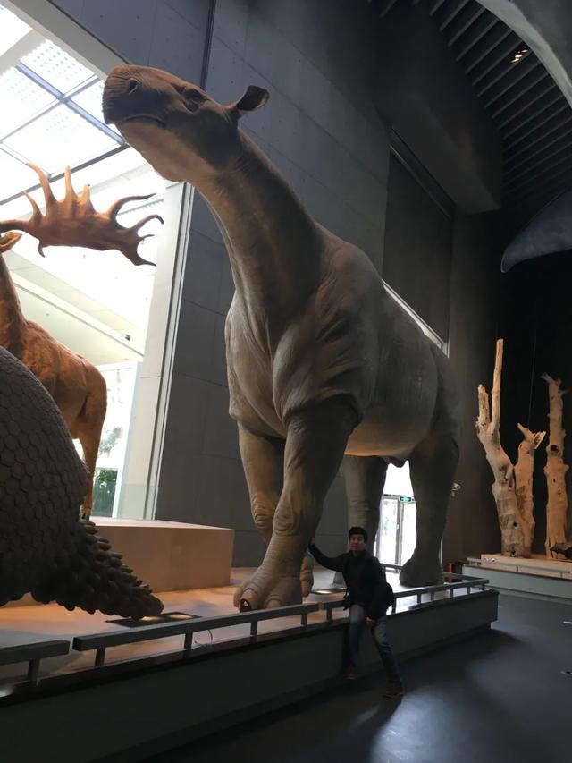 身体最长的恐龙是，身体最宽的恐龙（恐龙的体型为什么那么大）