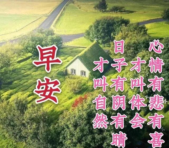 我今天为你祝福，我今天为你祝福歌词（感恩有你早晨问候祝福语）