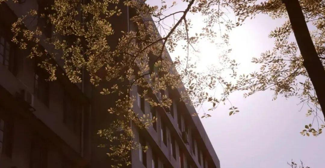 法律专硕考英语一还是英语二（持续爆满）