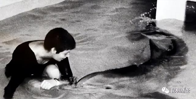 男子和海豚发生关系，南非一男子赏鲸差点被鲸鱼吞进嘴中（海豚殉情闭气自杀）