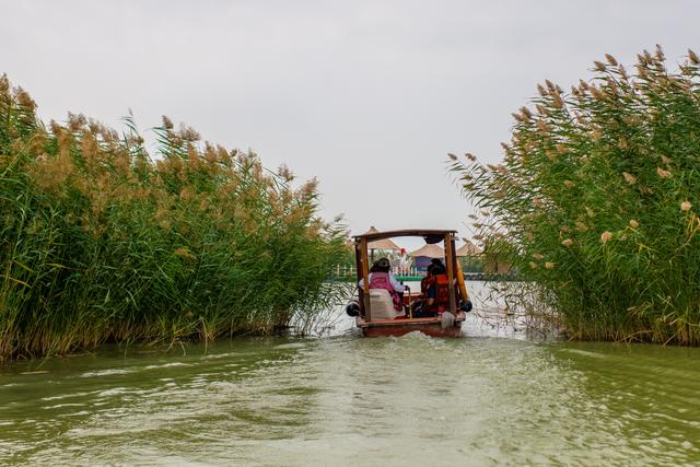 沙湖旅游景点介绍，宁夏沙湖旅游景点介绍（生态呵护成就沙湖“老”景区的“新”风貌）