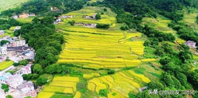 广州出发-容县+信宜3天游，打卡容县真武阁、船游容州古城