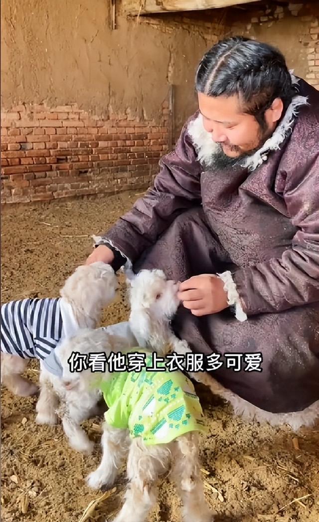 彪悍的蒙古汉子，蒙古人、维京人、萨摩亚人——哪个最强悍（202公里配送费584元）