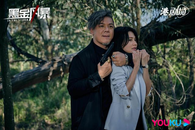 黑金风暴演员表，《黑金风暴》官宣定档时间（《黑金风暴》4月4日大结局）