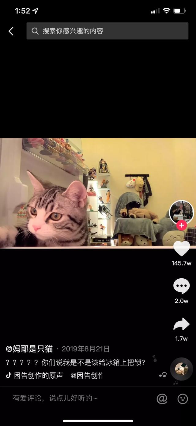 魔法哈奇怎么抓战宠，魔法哈奇怎么抓战宠视频（有一位以治愈系合集为主）