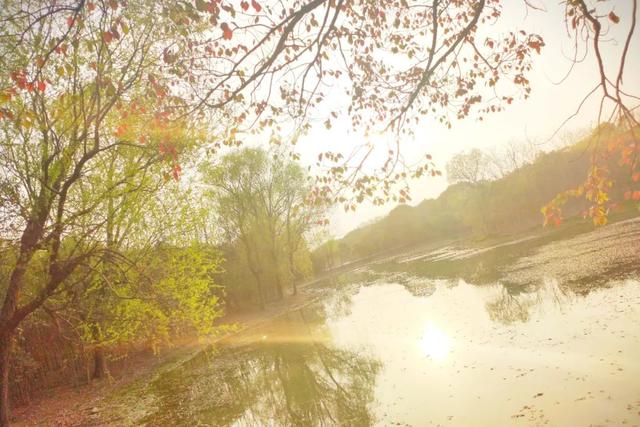 春天奋斗的诗句，春天奋斗的诗句有哪些（6首写于逆境中的诗词）