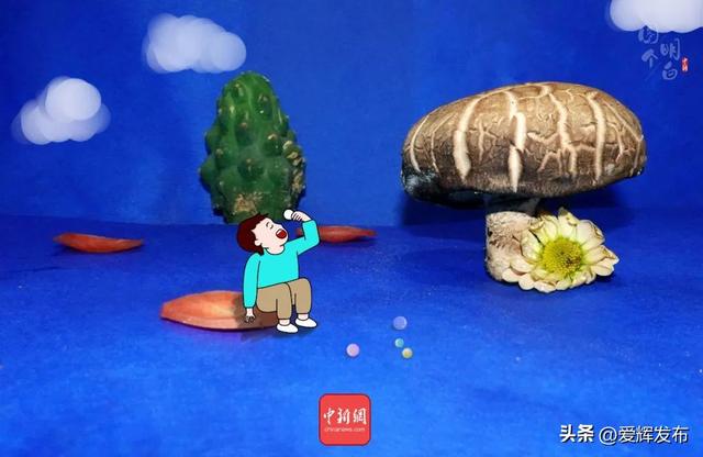 七夕节什么意思，七夕节是什么意思（七夕节是什么）