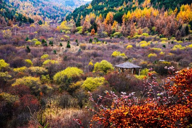 10种代表秋天的景物，秋天的景色有哪些（这10个小众绝美的秋景地）