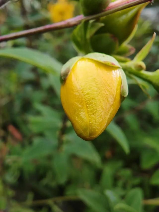 平凡的世界简介梗概，平凡的世界简介梗概1500（《平凡的世界》写了什么）