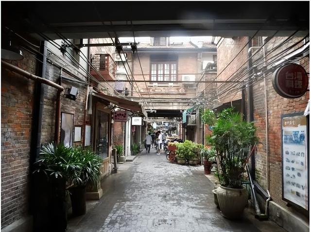 舔狗是指什么意思，舔狗是什么意思（网络上爆红梗的来源与解释）