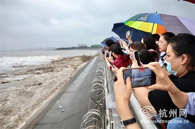 钱塘江入海的地方叫什么湾，钱塘江入海是什么海（世界潮我看丨农历八月十八日）