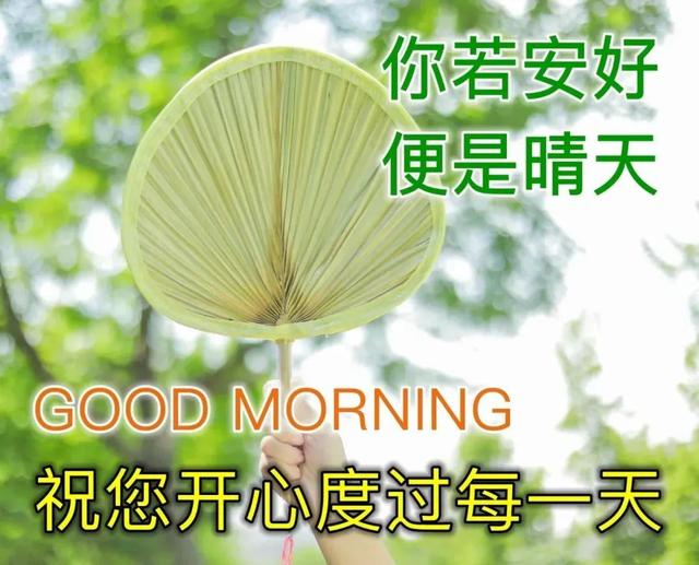 早安语录正能量短句，早安语录正能量短句100字大全（正能量简单语录句子）