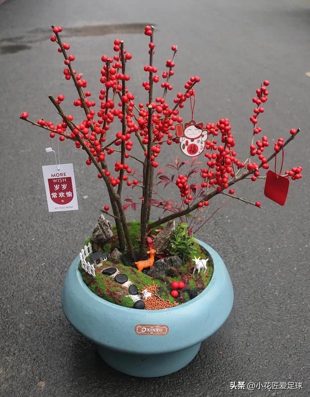 鲜花图片大全真实照片，真实水果图片（近100张鲜花美照诠释不一样的年味儿）