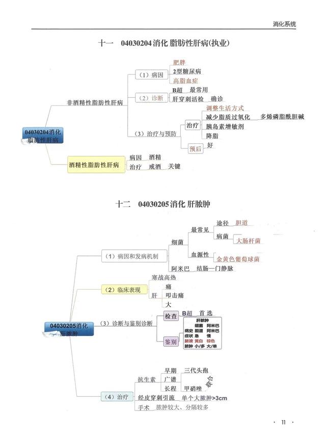 消化系统思维导图，人体消化系统部分知识的思维导图（临床专业消化系统——思维导图）