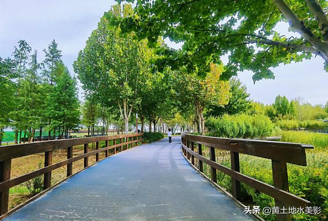郑州龙湖湿地公园现状分析，河南郑州龙湖湿地公园秋色初露