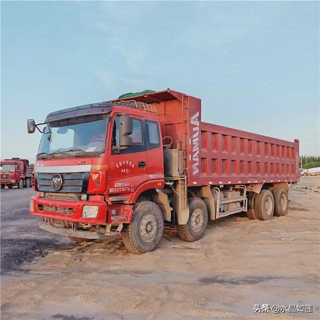 10种代表春天的动物，春天的动物有哪些（塞北动植物们话辛丑牛年时节）