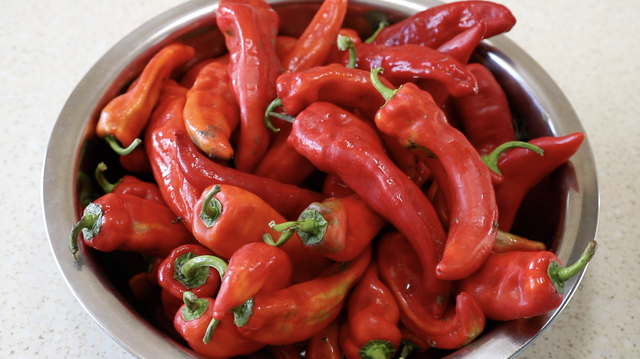 熬辣椒酱的做法大全家常做法，熬辣椒酱的做法及配方（吃来吃去还是这个做法的好吃）
