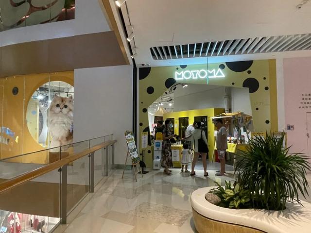 来福士购物中心，重庆来福士购物中心入驻品牌（深圳来福士，雄起）