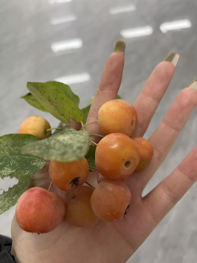 灵魂相似的人一旦相逢，灵魂相似的人一旦相逢是知心朋友（总有一天会在路上相逢）