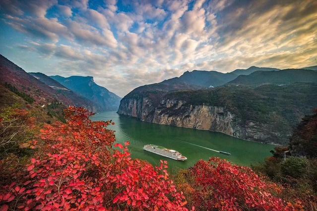 著名的十大名贵淡水鱼，我国五大淡水名贵鱼（“四大家鱼”基因受到威胁）