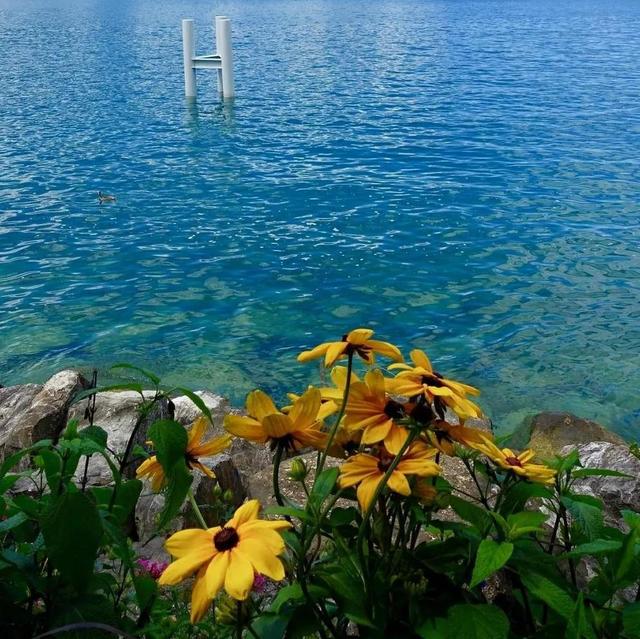 图片，微信头像，图片（清新多彩自然美景）