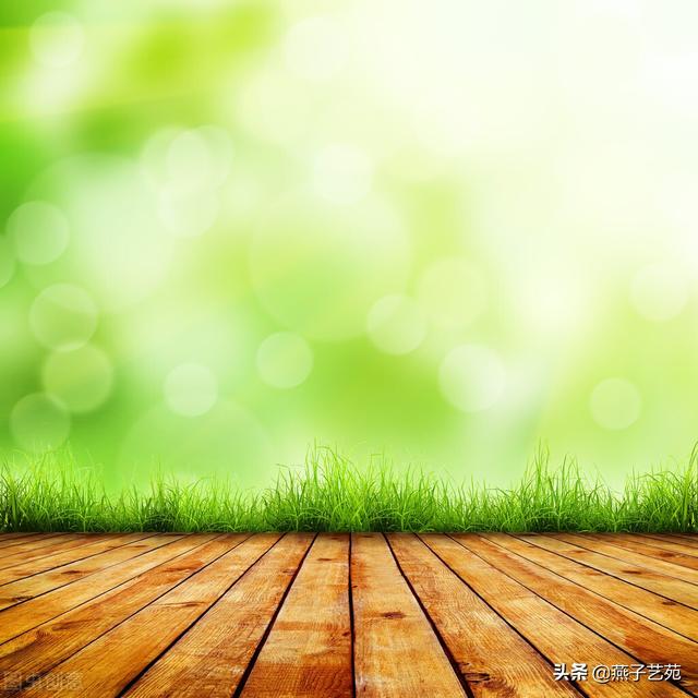 关于立春的经典诗，关于立春的经典古诗（开启诗情画意的一年）