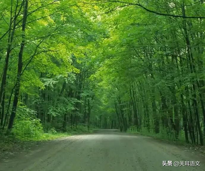 七年级上册第一单元作文素材：精选钓鱼场景图片，助力写作灵感激发与内容丰富