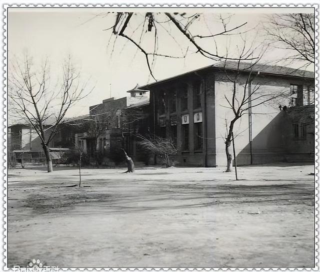 哈尔滨才子照片，才子骂小花（黑龙江一记者采访监狱）