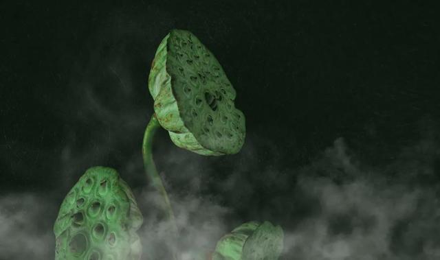 佛教一花一世界一树一菩提，禅语10句，写尽人间贪嗔痴欲