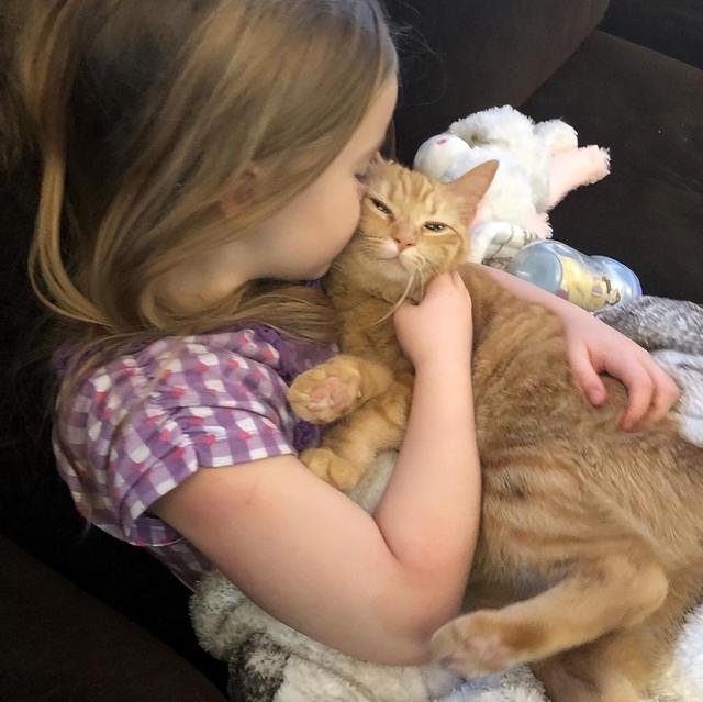 养猫的猫对人有什么好处，养猫的10个好处