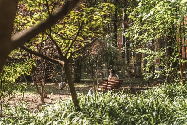 湖北大学怎么样，湖北大学怎么样?就业前景（湖北大学，为什么这么牛）