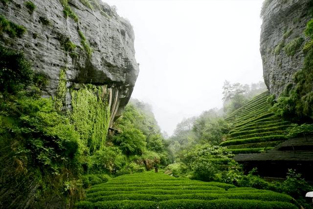 武夷山旅游景点，厦门武夷山旅游景点（武夷山三天假期怎么玩）