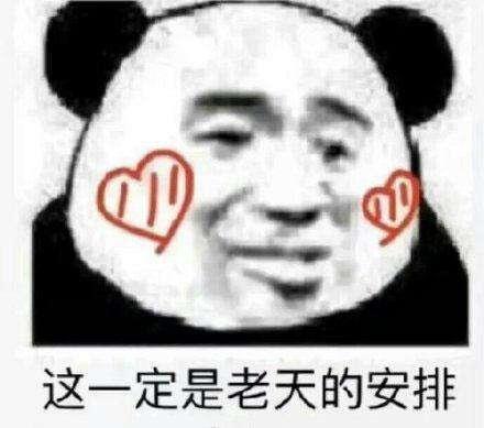 美女娇妻爱上我，张逸飞是哪部小说（守得云开见月明）