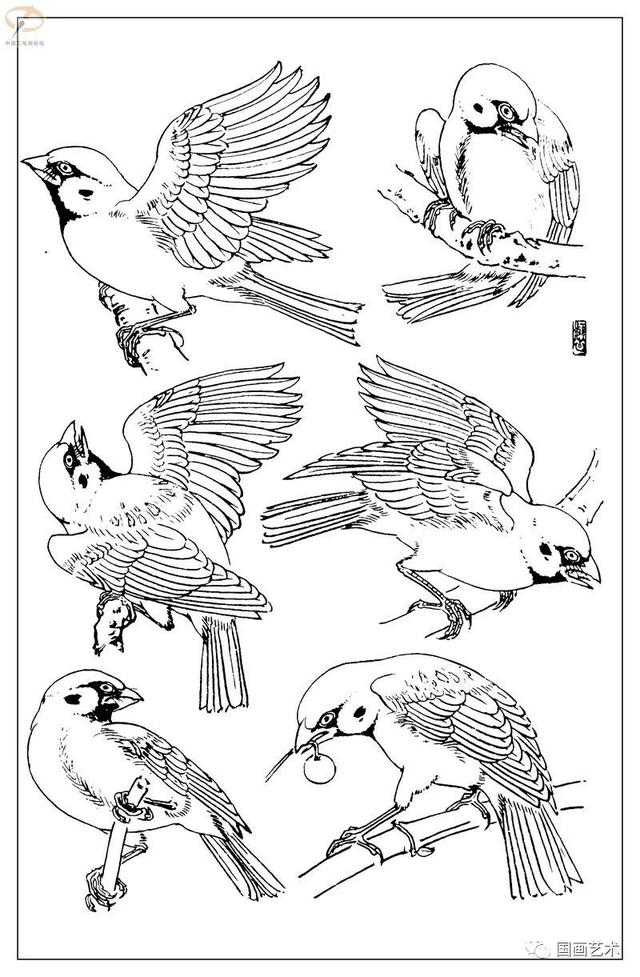 火的简笔画图片，火焰怎么画简笔画图片（画鸟参考——白描麻雀百图）