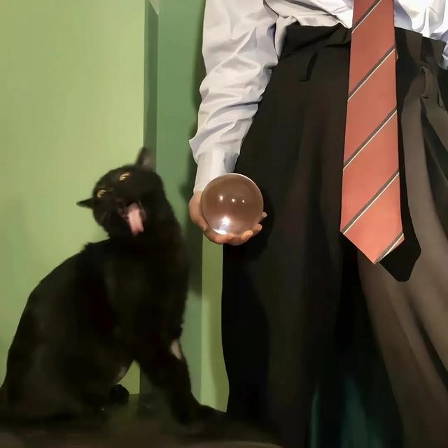 头像+壁纸微信，头像+壁纸（朋友圈背景图+微信头像合集）