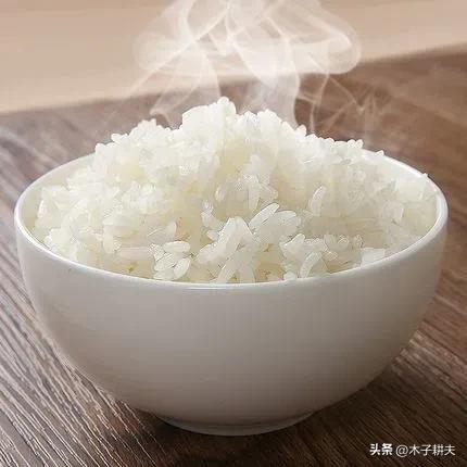 一种用树木制成的淀粉,桄榔粉制作 一种用树木制成的淀粉,桄榔粉制作