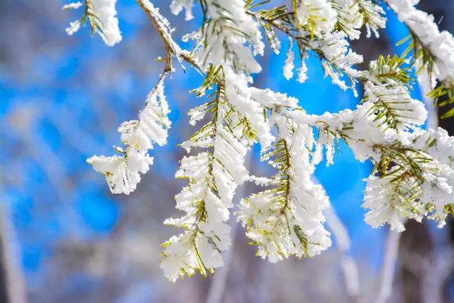 古人对雪的雅称，雪在古代有哪些称呼（古人对雪的24种雅称）