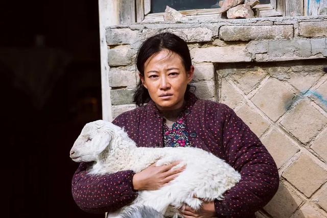 章子怡和周迅一起演的电影叫什么名字，章子怡与周迅合作的电影（我遇到了国内罕见的剧本）