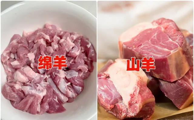 山羊的特点，黑波尔山羊的特点（要区别“绵羊”和“山羊”）