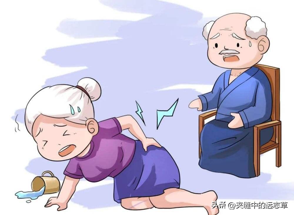 人参补丸多少钱一盒(年老体虚) - 价格百科