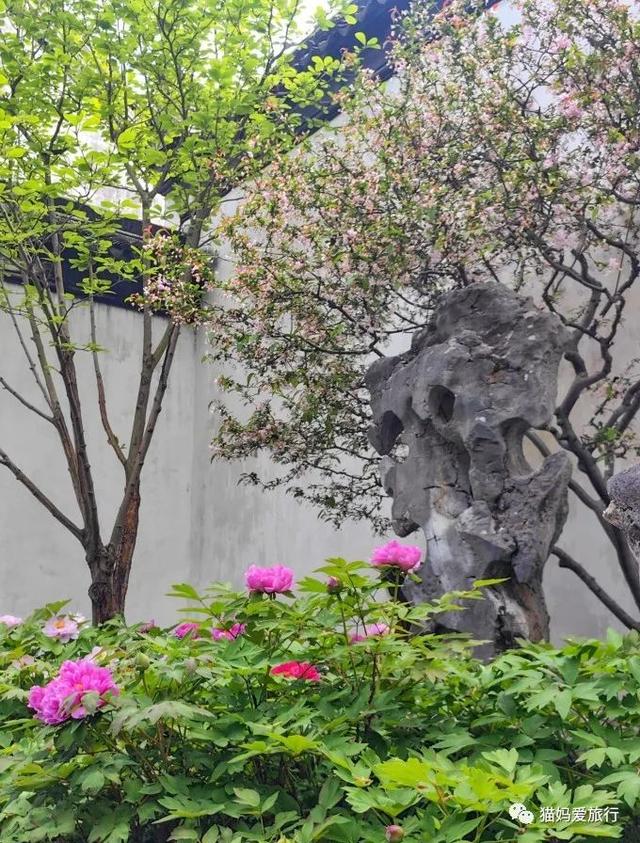 苏州山塘街攻略，苏州山塘街美食最强攻略（周末轻松苏州游）