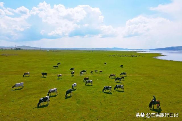 世界最大的草原，世界最著名的三大草原（面积是山东江苏两省之和）